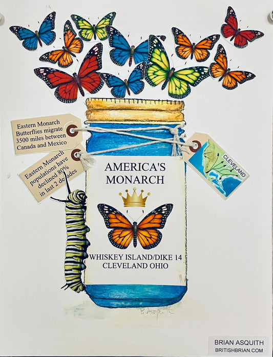 America's Monarch and Quest for the Fest