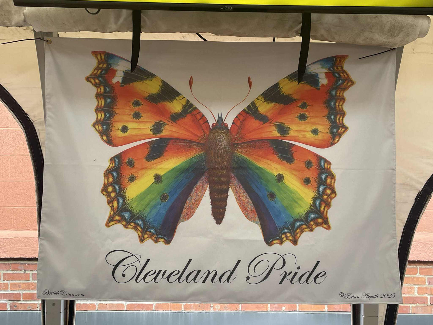 Pride Butterfly - giclee print