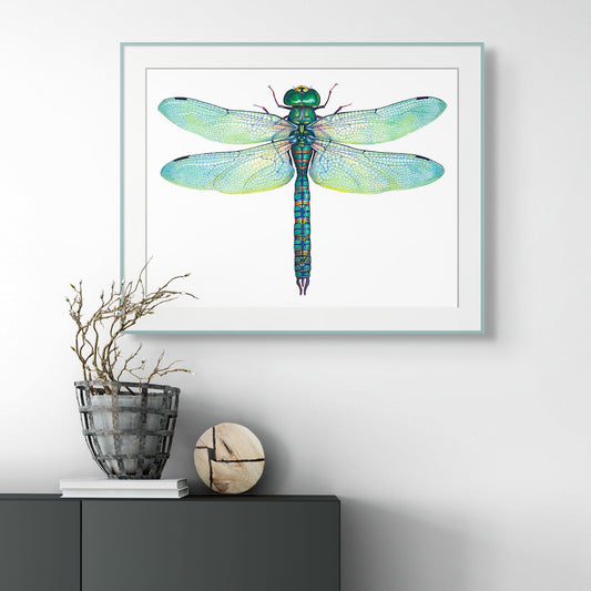 Green Dragonfly - giclee print