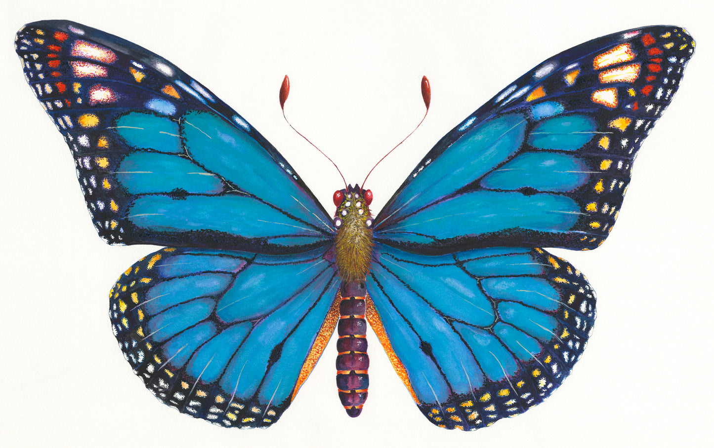 MONARCH BUTTERFLY (BLUE) - original watercolour