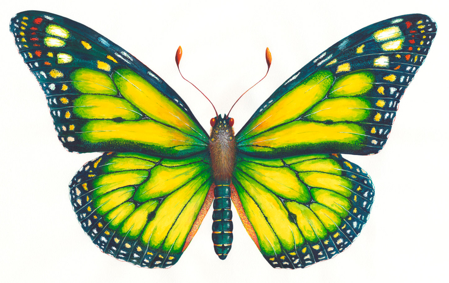 MONARCH BUTTERFLY (YELLOW) - original watercolour
