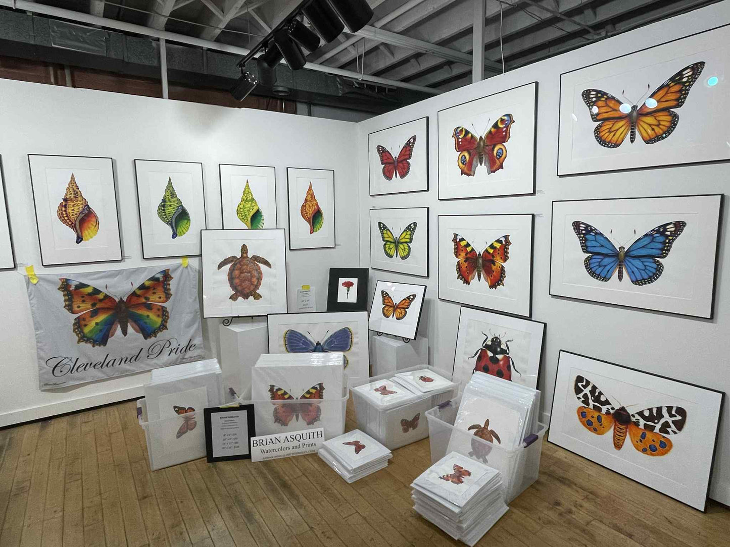 7 Spot Ladybird/Ladybug - giclee print