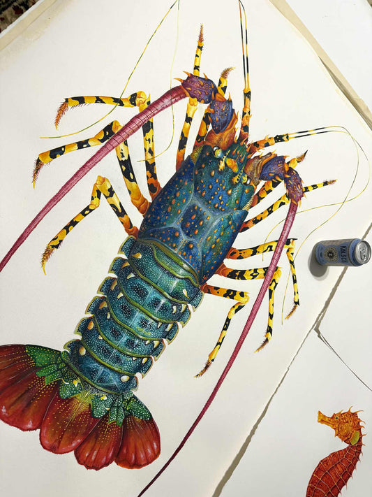 RAINBOW SPINY LOBSTER - original watercolour - 40" tall