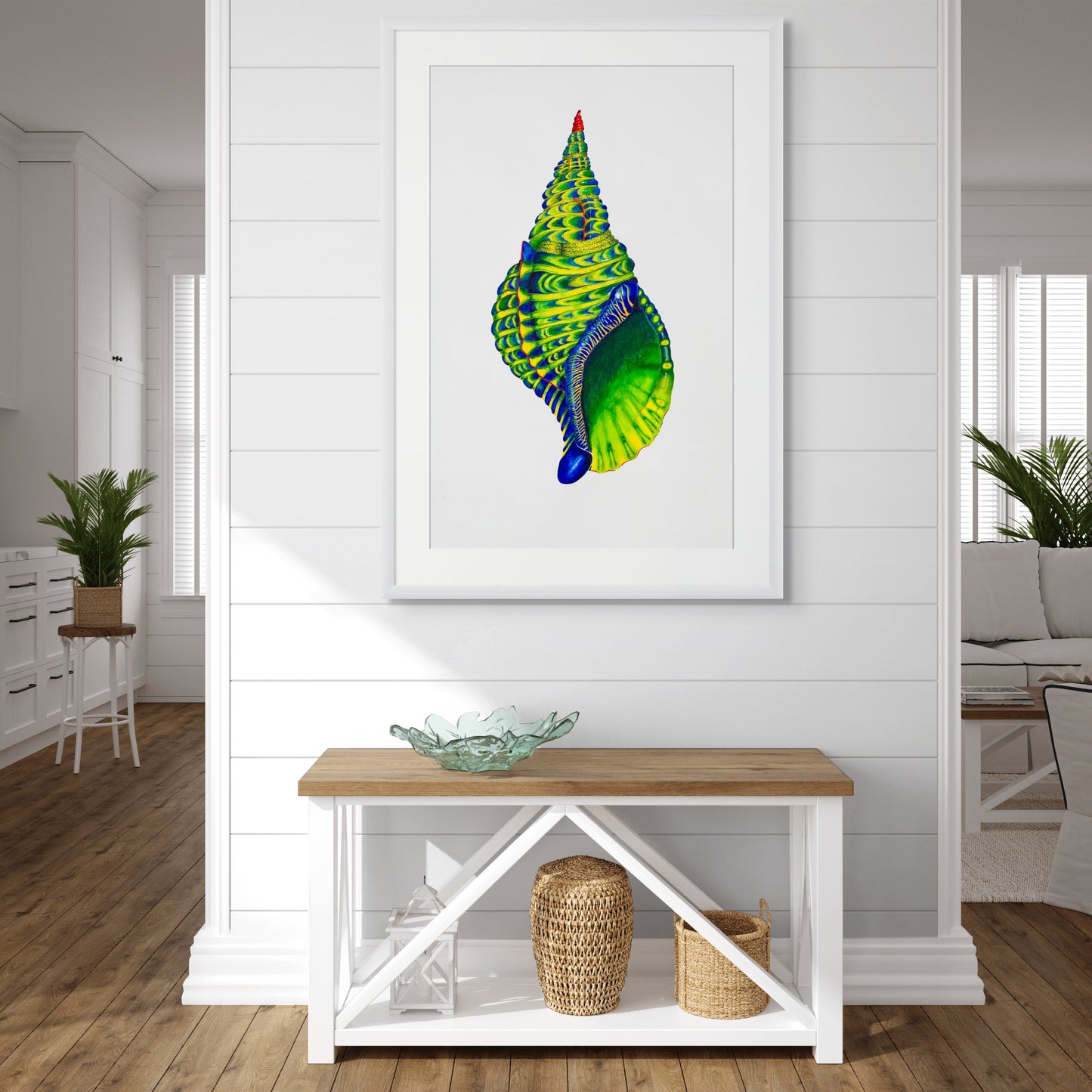 BLUE TRITON SHELL - giclee print