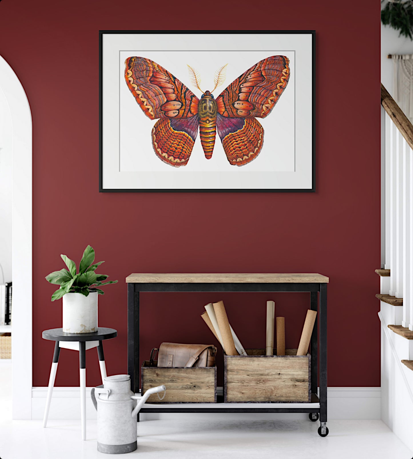BRAHMIN MOTH - giclee print