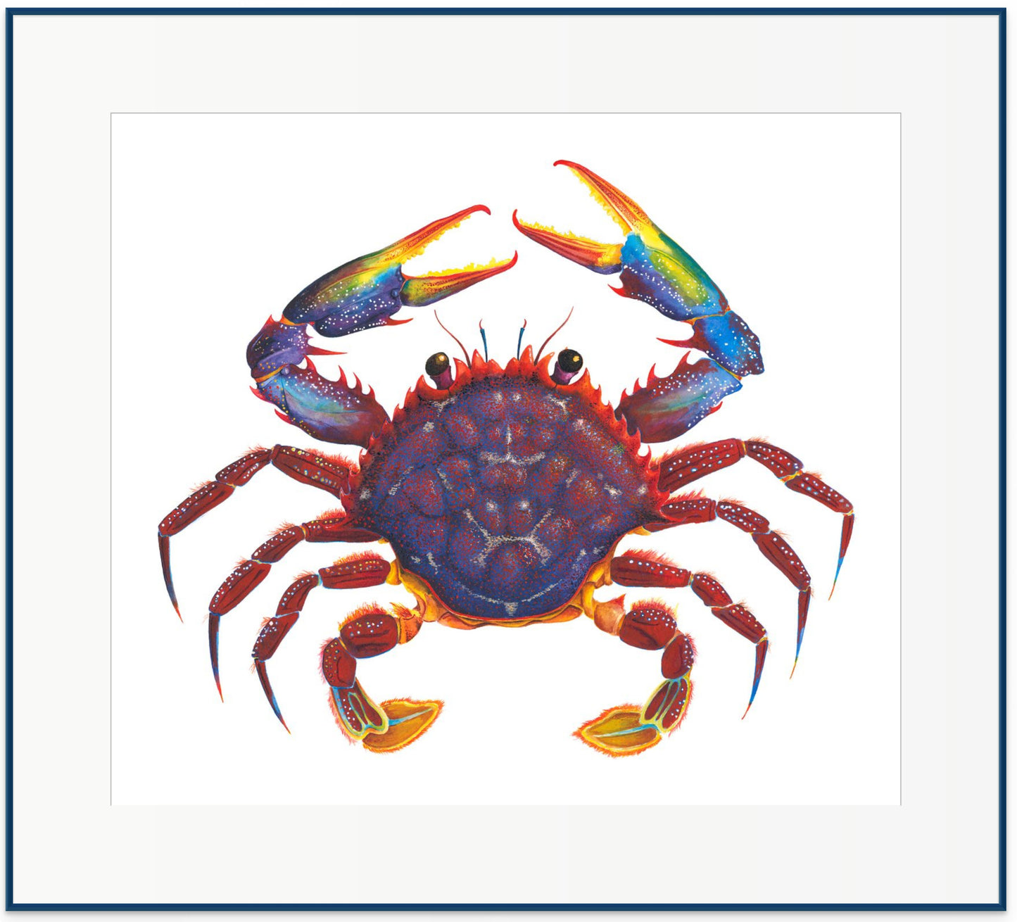 RED CRAB - original watercolour