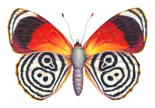 Cramer's 88 - giclee print