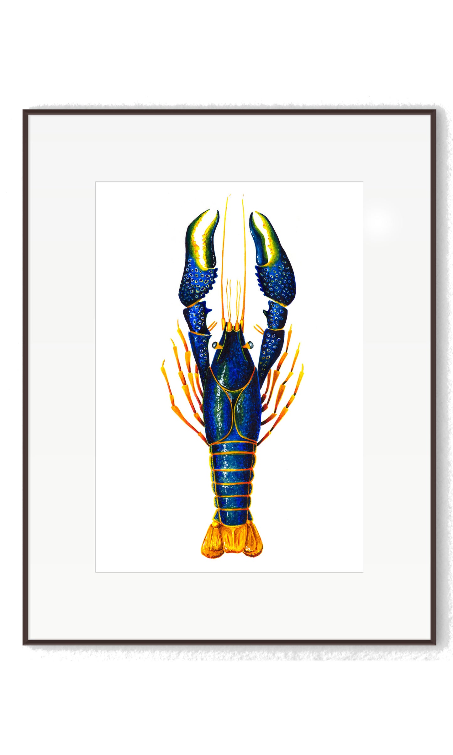 CRAYFISH - BLUE - giclee print