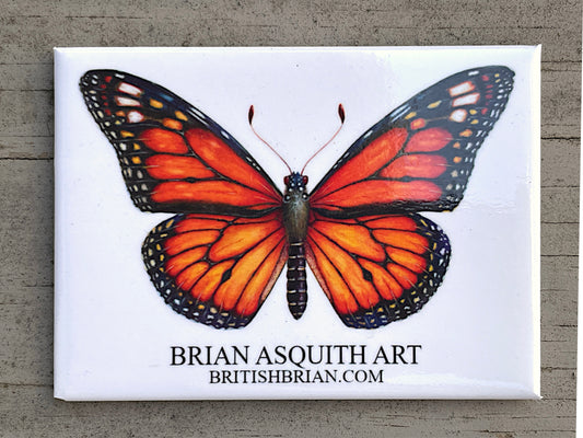 Monarch Butterfly (natural) - fridge magnet