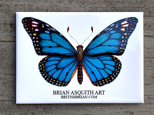 Monarch Butterfly (blue) - fridge magnet