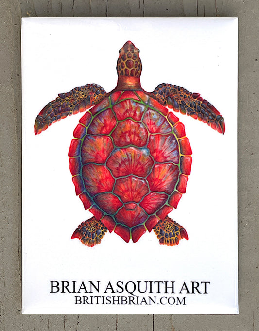 Red Sea Turtle - fridge magnet