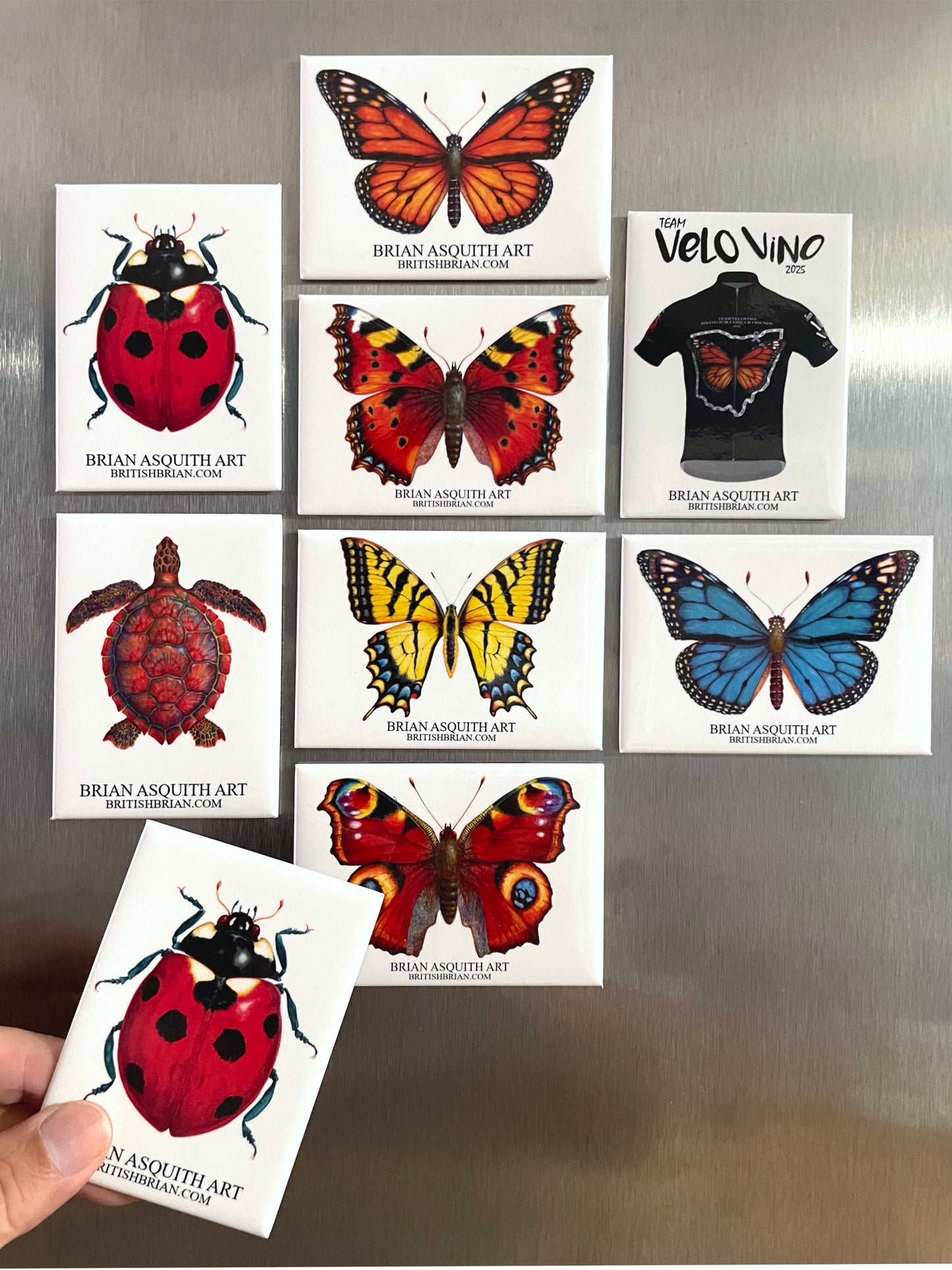 7-Spot Ladybug - fridge magnet