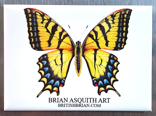Eastern Tiger Swallowtail - fridge magnet