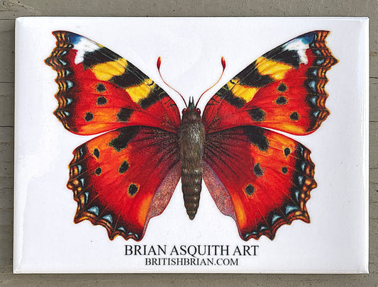 Small Tortoiseshell Butterfly - fridge magnet