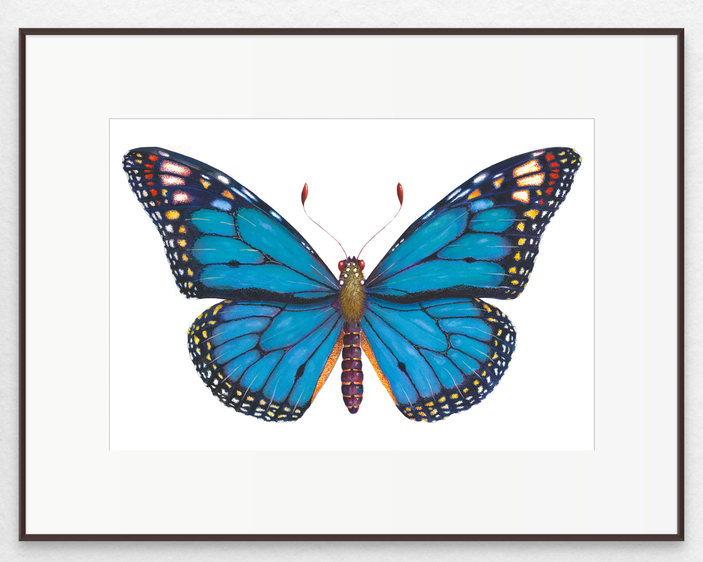 MONARCH BUTTERFLY (BLUE) - original watercolour