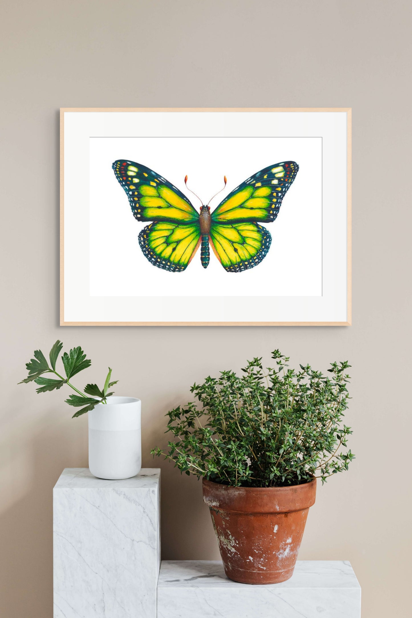 Monarch Butterfly (Yellow) - giclee print