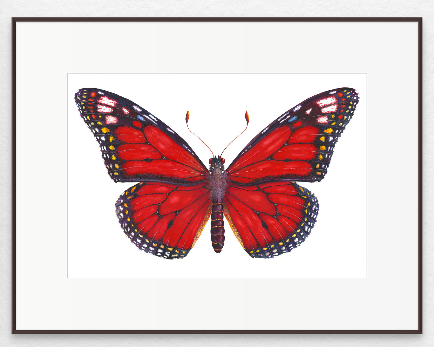 Monarch Butterfly (Red) - giclee print