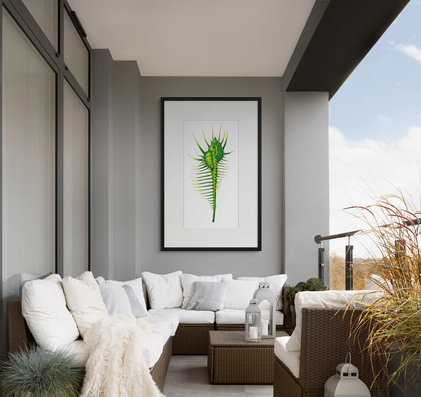 GREEN VENUS COMB MUREX - giclee print