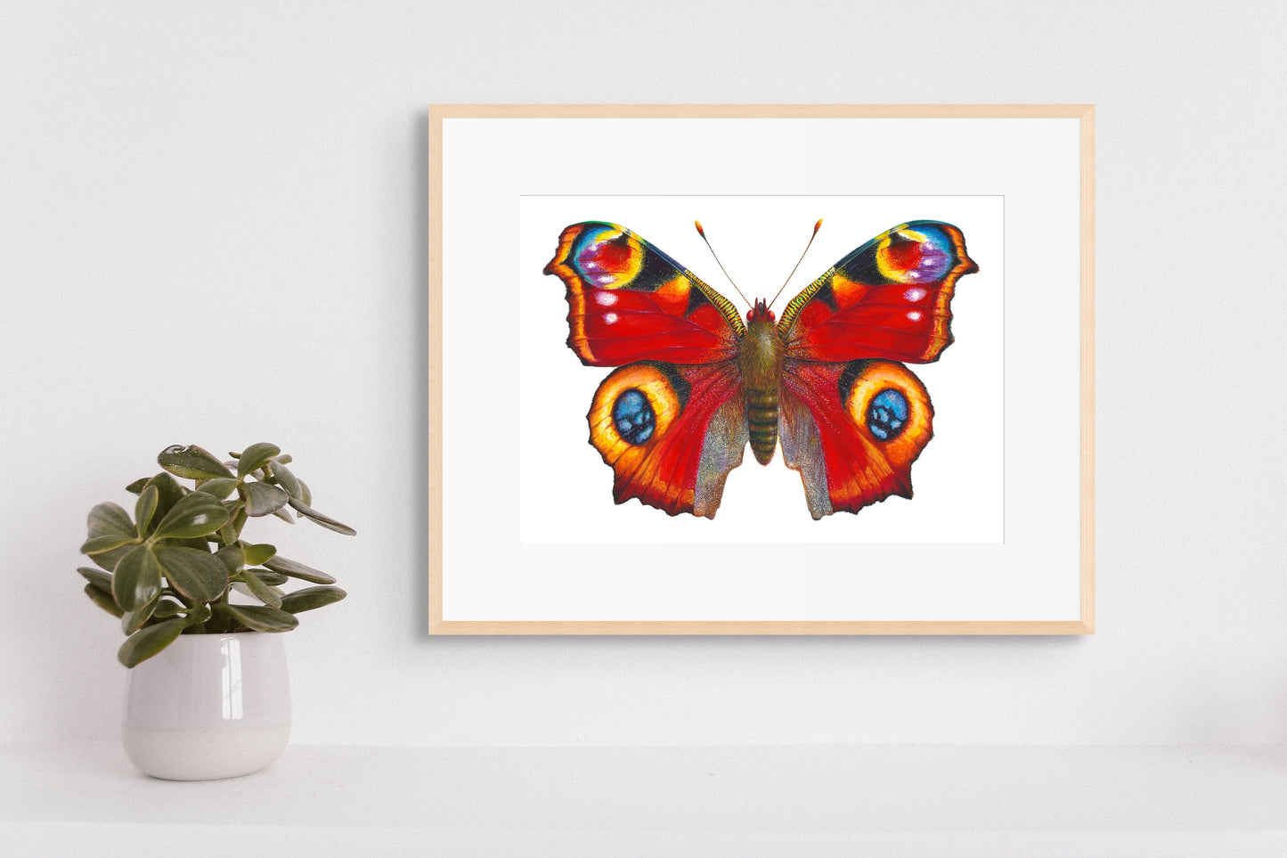 Peacock Butterfly - giclee print