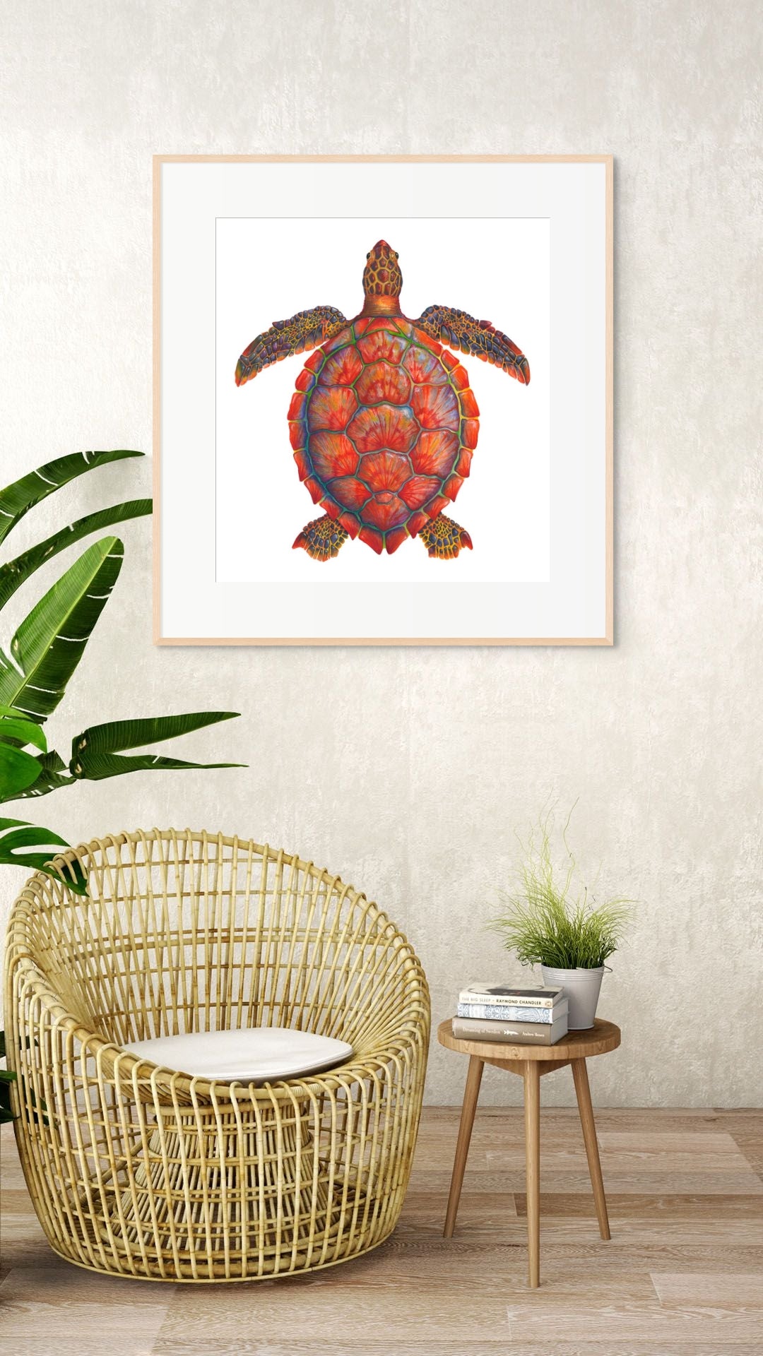 RED SEA TURTLE - giclee print