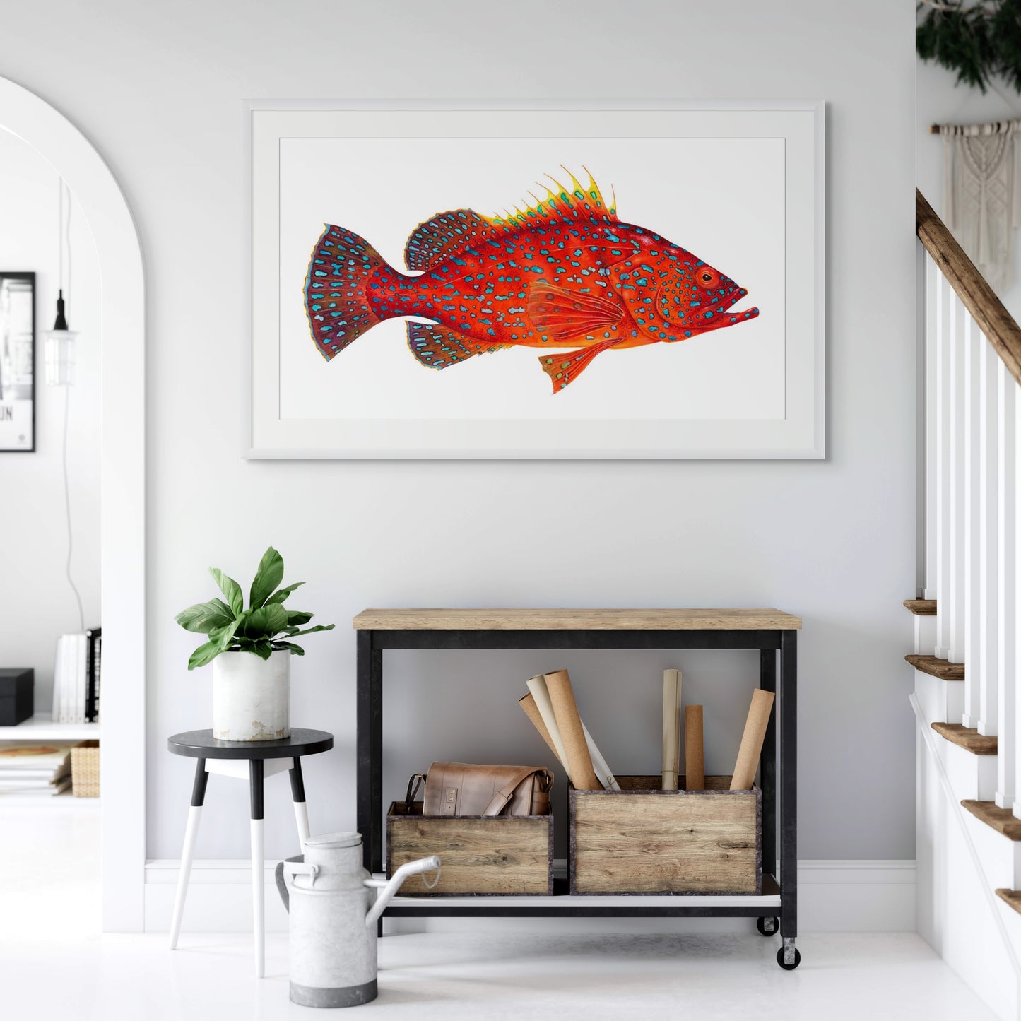 RED GROUPER - giclee print