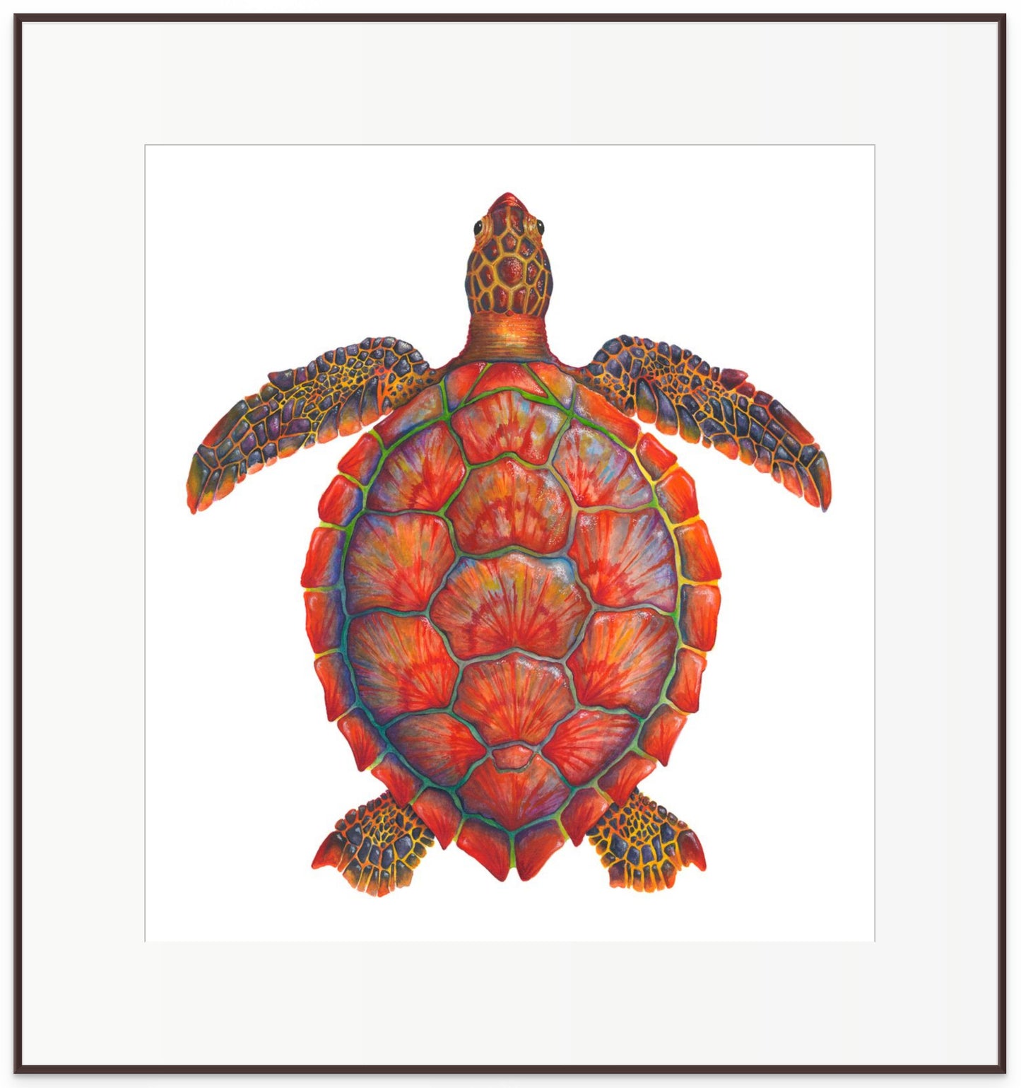 RED SEA TURTLE - original watercolour