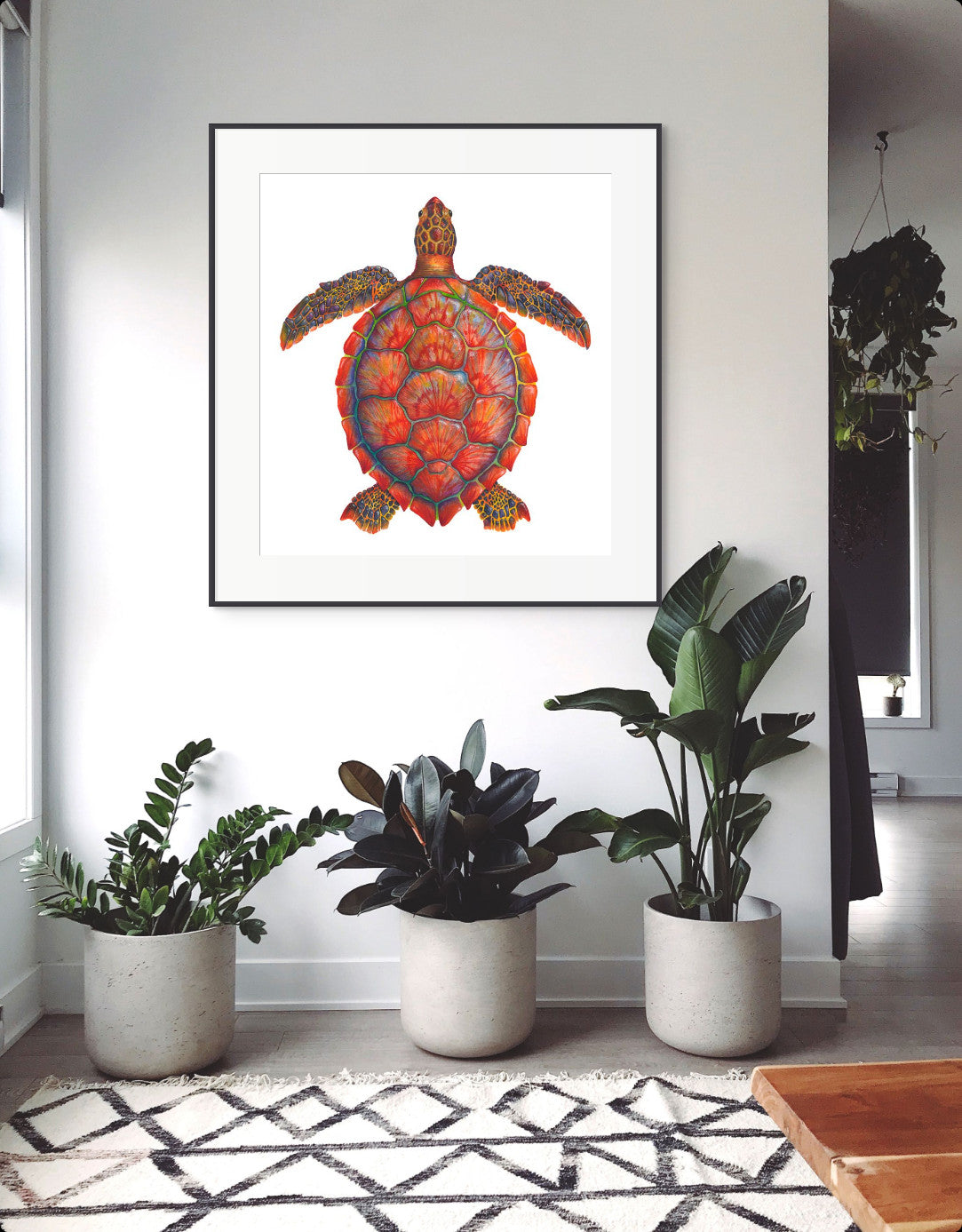 RED SEA TURTLE - giclee print