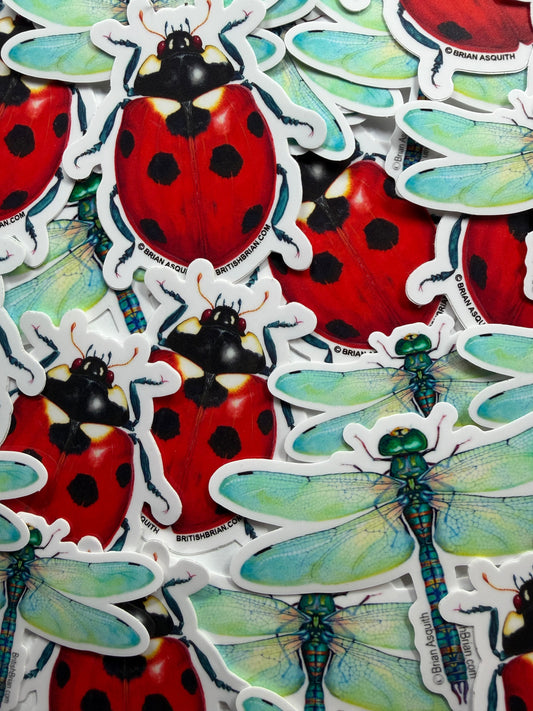 Ladybug & Dragonfly Stickers