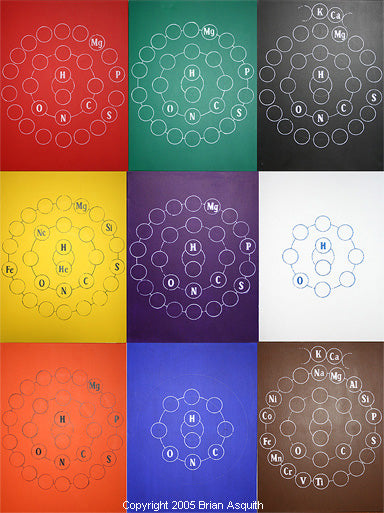 Color-In-The-Mind @ NEO Show, Cleveland Museum of Art, 2005