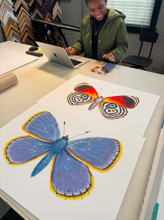 Prints in Metrohealth Outpatient Center curated by LANDStudio