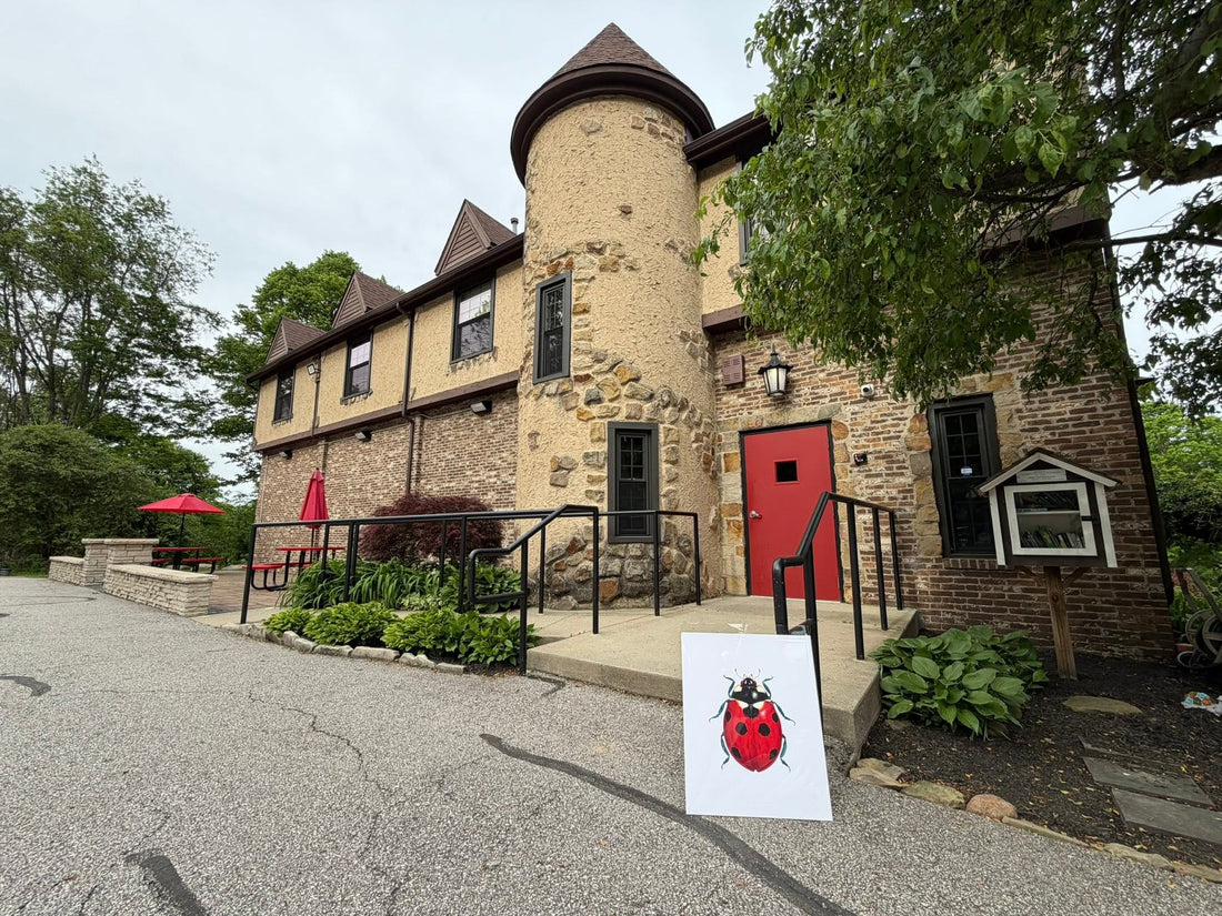 Solo Show at Fairmount Center for the Arts - Jun 1 - Jul 20