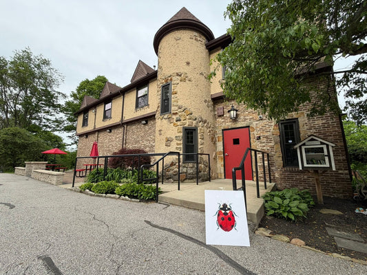 Solo Show at Fairmount Center for the Arts - Jun 1 - Jul 20