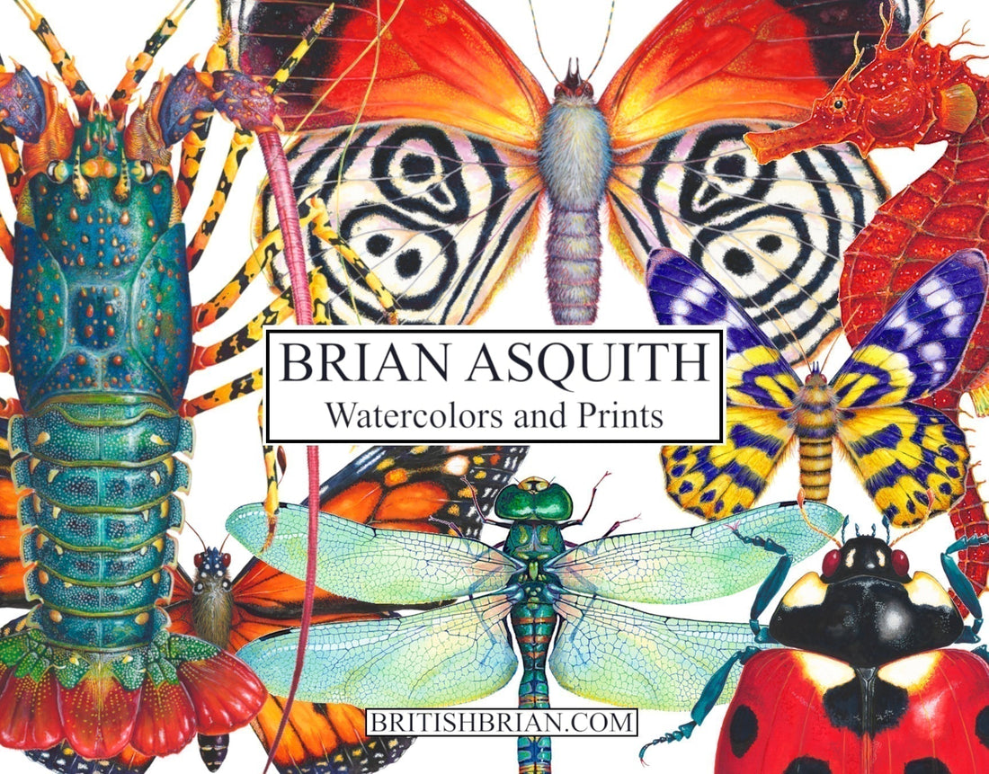Solo Show at Cleveland Botanical Gardens May-Sept 2026