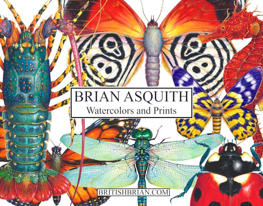 Solo Show at Cleveland Botanical Gardens May-Sept 2026
