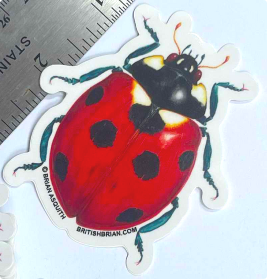 Got ladybug stickers!
