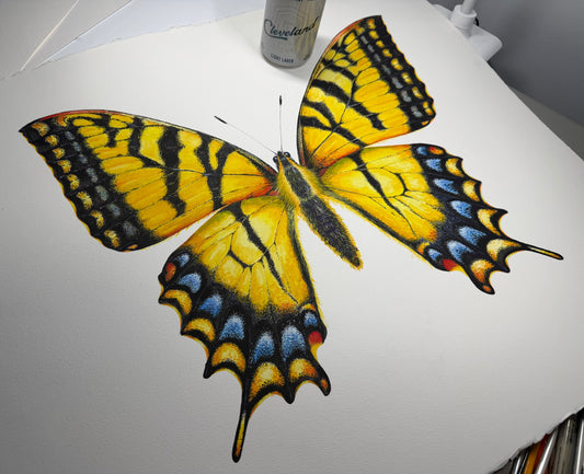 Eastern Tiger Swallowtail - revamping work-in-progress