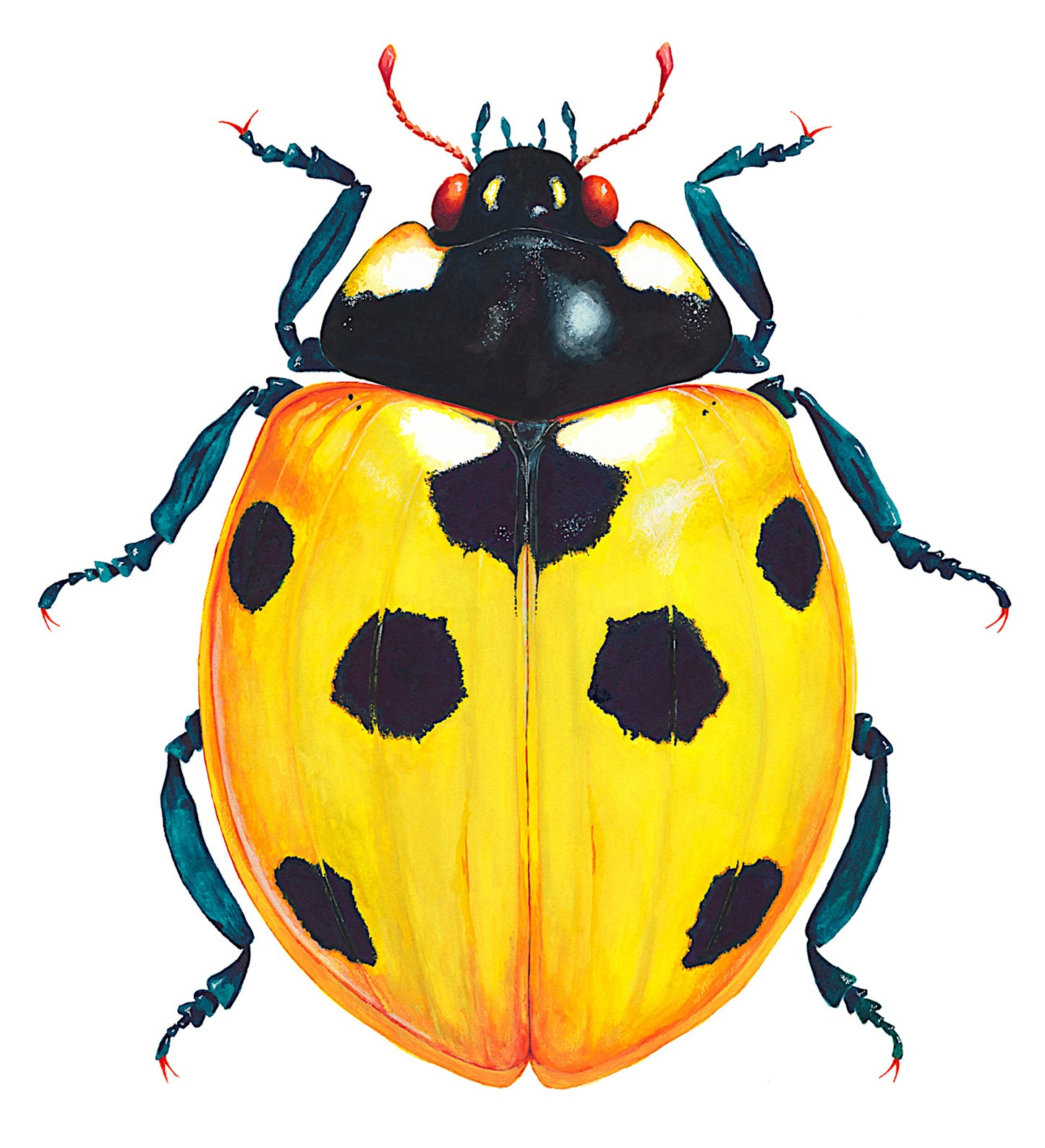 7-SPOT LADYBUG/LADYBIRD - Yellow - original watercolour