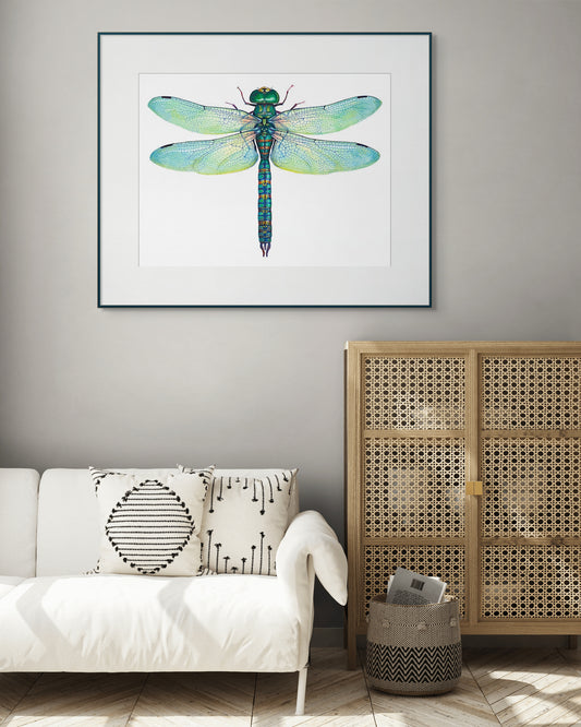 Green Dragonfly - giclee print