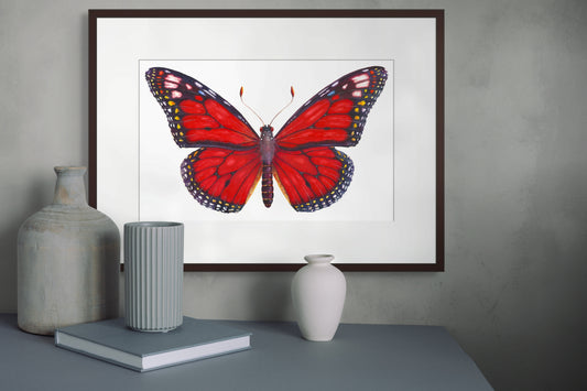Monarch Butterfly (Red) - giclee print