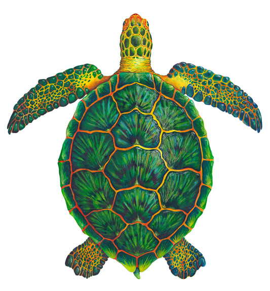 GREEN SEA TURTLE - original watercolour