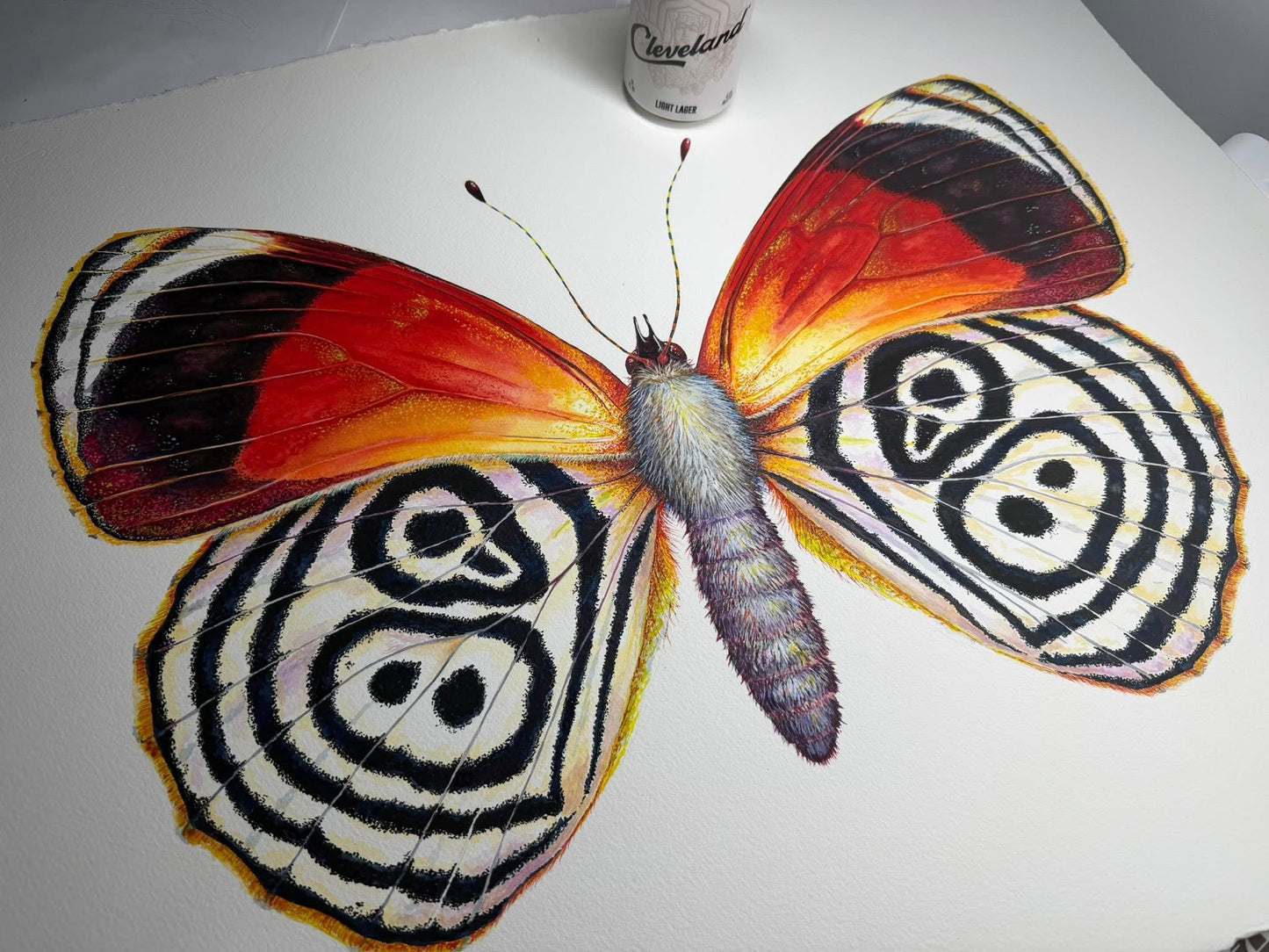 CRAMER'S 88 - original watercolour