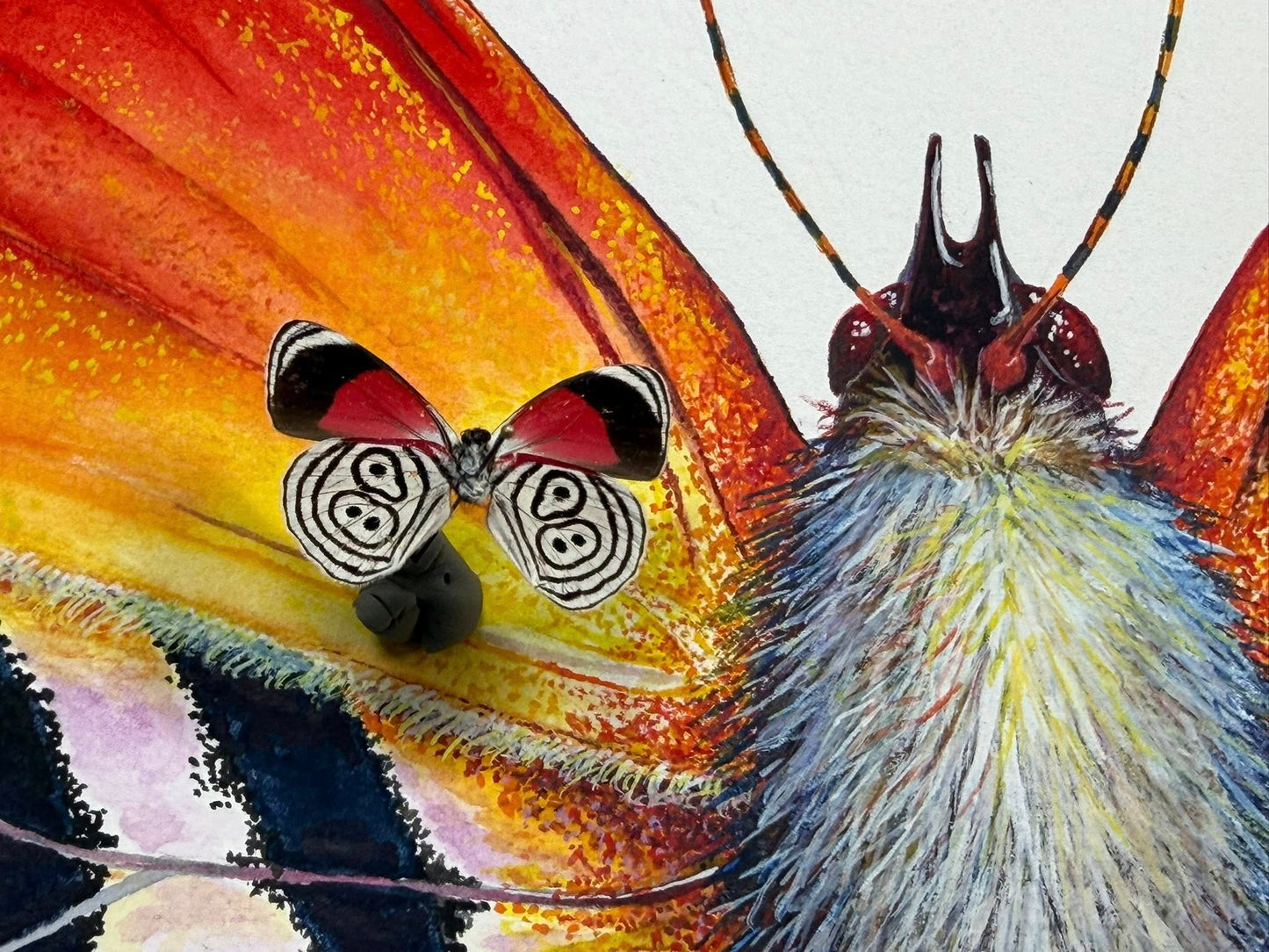 CRAMER'S 88 - original watercolour