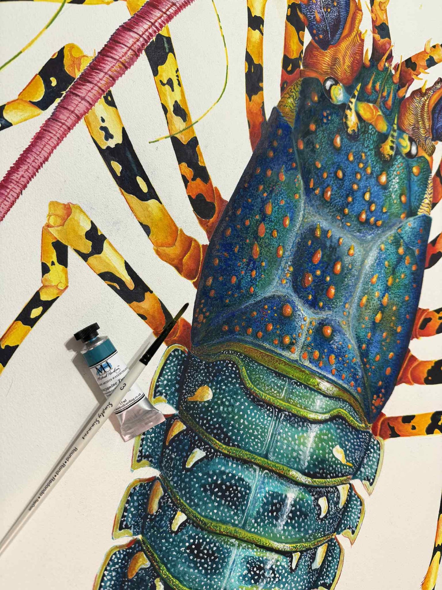 RAINBOW SPINY LOBSTER - original watercolour - 40" tall