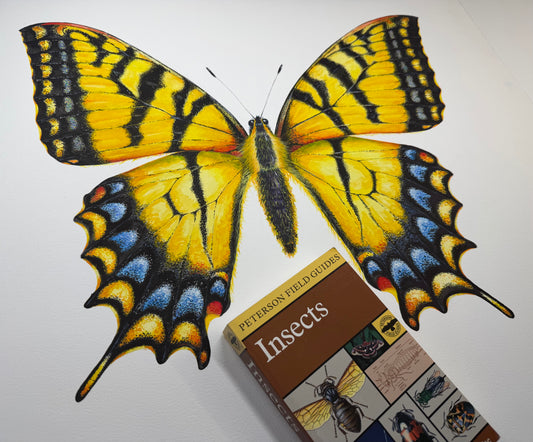 EASTERN TIGER SWALLOWTAIL new version - original watercolour
