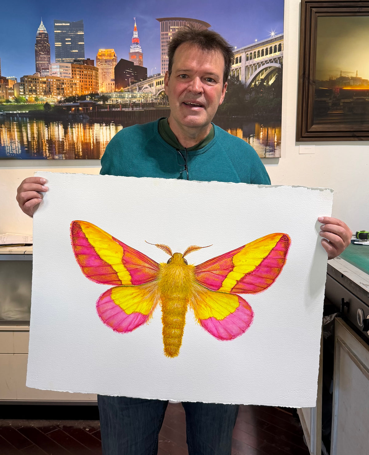 ROSY MAPLE MOTH - original watercolour