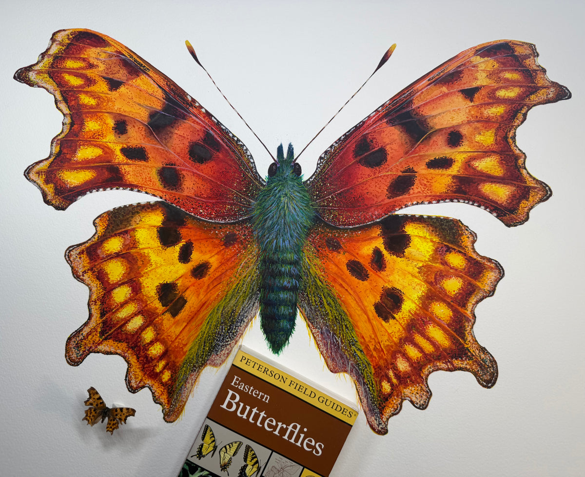 COMMA BUTTERFLY - original watercolour