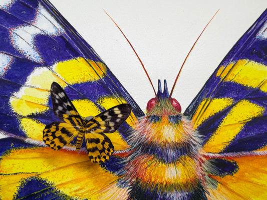 DYSPHANIA MOTH - original watercolour