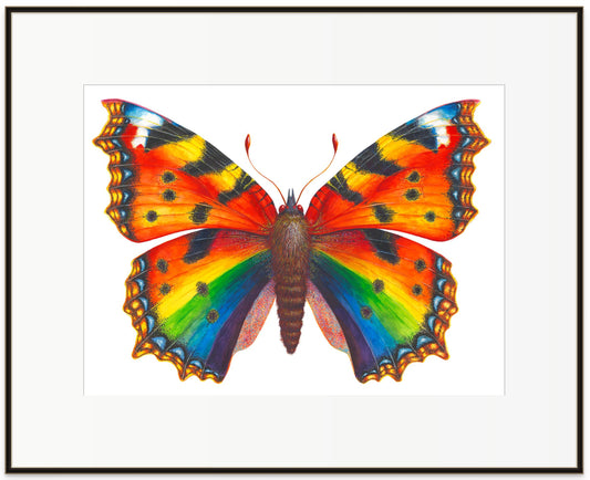 Pride Butterfly - giclee print