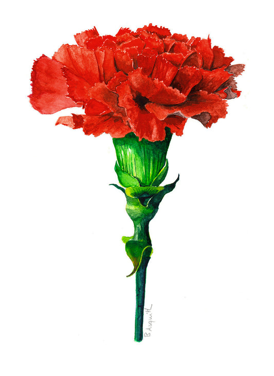 RED CARNATION - giclee print