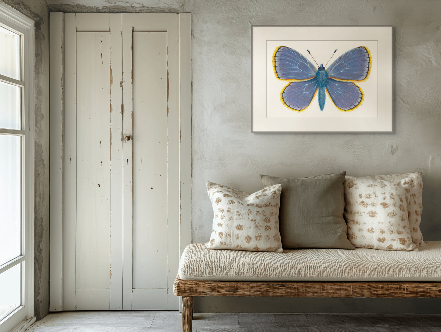 COMMON BLUE BUTTERFLY - giclee print